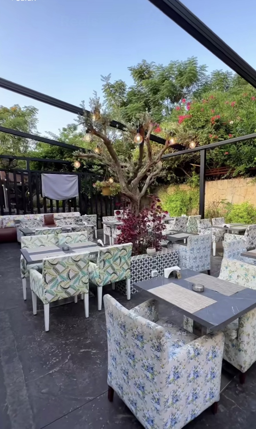 The terrace built around its tree